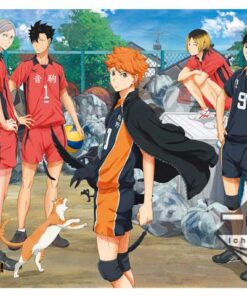 Haikyuu Ichiban Kuji lottery2015 B Prize Shouyou Hinata Figure Haikyu