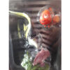 TOMY Disney magical collection 097 -- Nemo & Gill